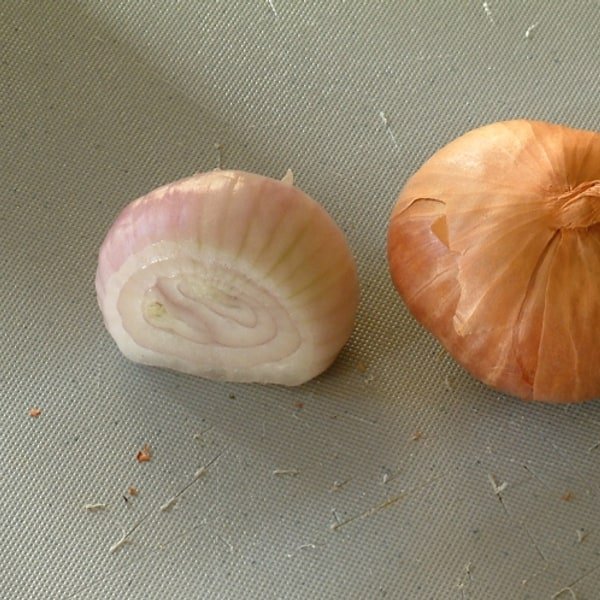 Shallot Cluster