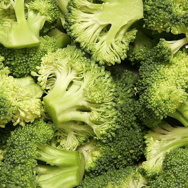 Broccoli Sprouts